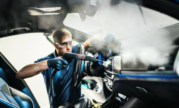 Best Air Duct Mold Removal  in Niles, MI