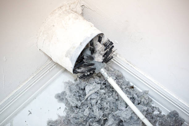Best Air Duct Cleaning Near Me  in Niles, MI