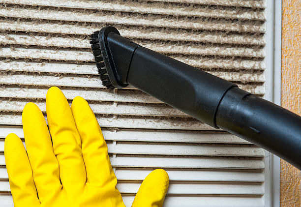 Best Ventilation Cleaning Services  in Niles, MI