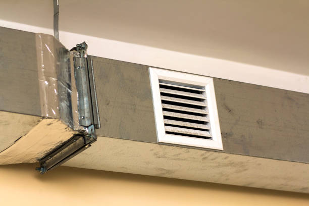 Best Residential Air Duct Cleaning  in Niles, MI
