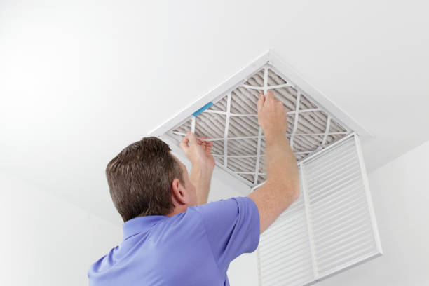 Best HVAC System Cleaning  in Niles, MI